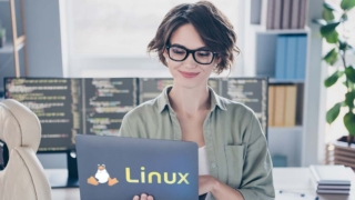 Какой сегодня праздник: 25 августа – День рождения Linux