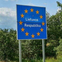В Литве призвали Латвию и Эстонию отгородиться от РФ и Белоруссии болотами