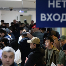 Наем мигрантов для работы в сфере услуг без знания русского языка предлагают запретить