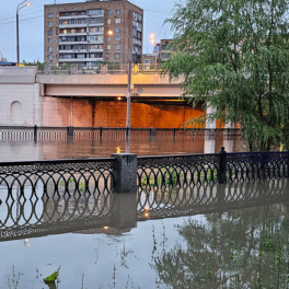 Уровень воды в реках Москвы и Московской области поднялся до опасной отметки