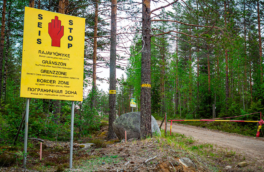 В Европе планируют восстановить болота для защиты от России