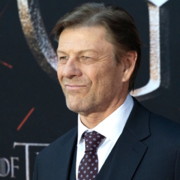 Шон Бин противостоит лесным разбойникам в тизере к сериалу "Робин Гуд"