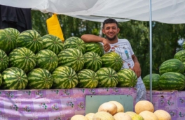 В Москве открылся сезон продажи арбузов и дынь на развалах