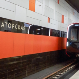 Поезда на участке Троицкой линии метро Москвы не будут ходить до сентября