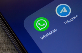 В ГД указали на единственный вариант восстановления доступа к звонкам в Telegram и WhatsApp