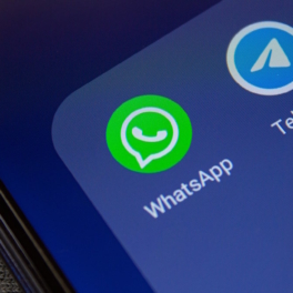 В ГД указали на единственный вариант восстановления доступа к звонкам в Telegram и WhatsApp