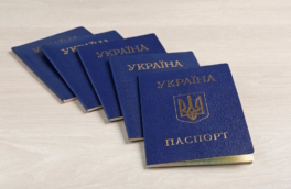 Украина разрешит множественное гражданство с Германией, Польшей, Чехией, США и Канадой