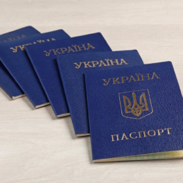 Украина разрешит множественное гражданство с Германией, Польшей, Чехией, США и Канадой
