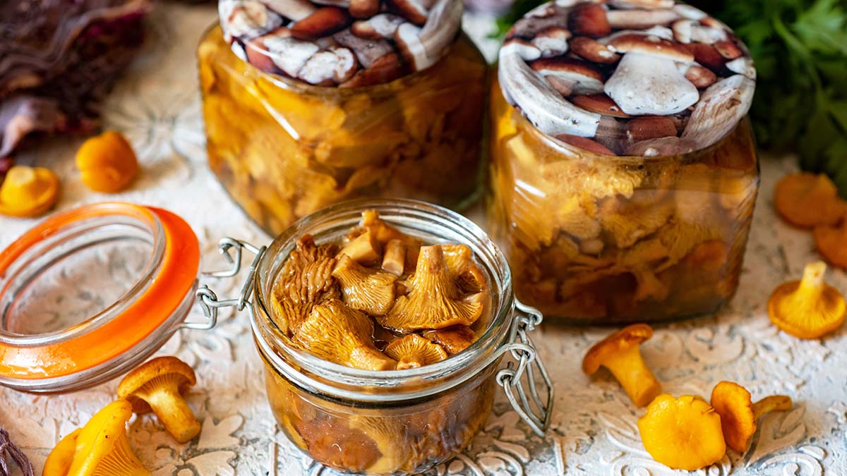 Маринованные лисички