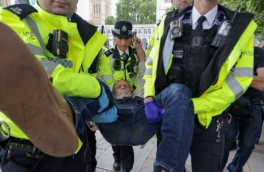 Полиция задержала почти 900 активистов Palestine Action после акции в Лондоне