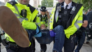 Полиция задержала почти 900 активистов Palestine Action после акции в Лондоне