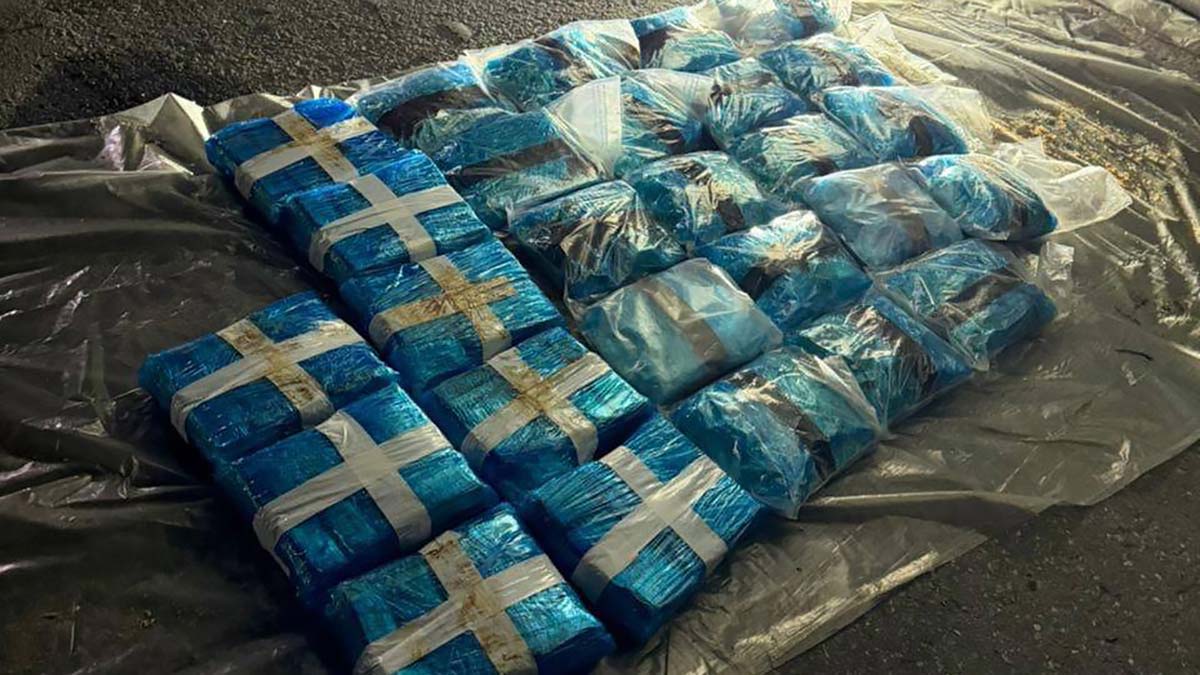 Таможенники и ФСБ пресекли ввоз в Россию 300 кг наркотиков