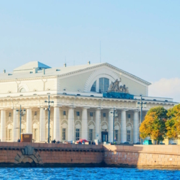 Петербургская биржа ввела ограничения на торги бензином