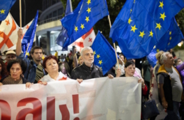 Грузия не допустит повторения протестов, как это было на Украине – Кобахидзе