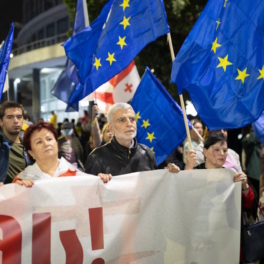 Грузия не допустит повторения протестов, как это было на Украине — Кобахидзе