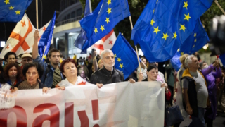 Грузия не допустит повторения протестов, как это было на Украине – Кобахидзе