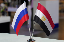 Российский бизнес получит льготные условия в промзоне у Суэца на 49 лет