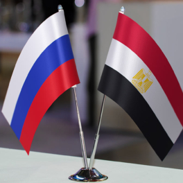 Российский бизнес получит льготные условия в промзоне у Суэца на 49 лет