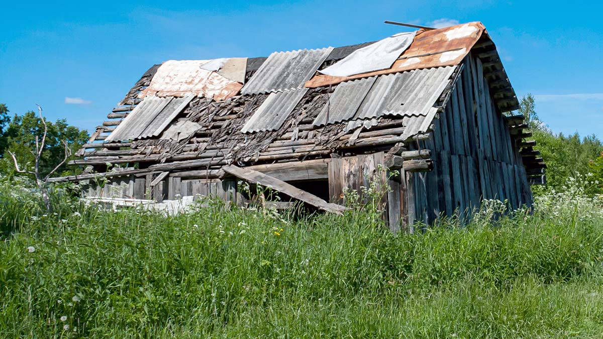 Росреестр запускает горячие линии по признакам неиспользования земельных участков