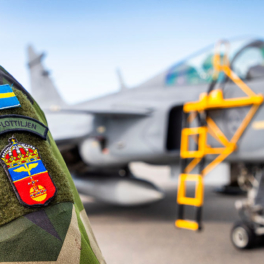 Главком ВС Швеции допустил открытие огня по самолетам из РФ за нарушение границы
