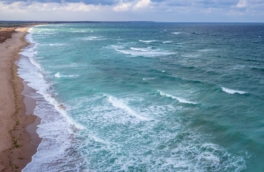 В ЮФУ сочли уровень загрязнения Чёрного моря одним из самых низких с 2007 года