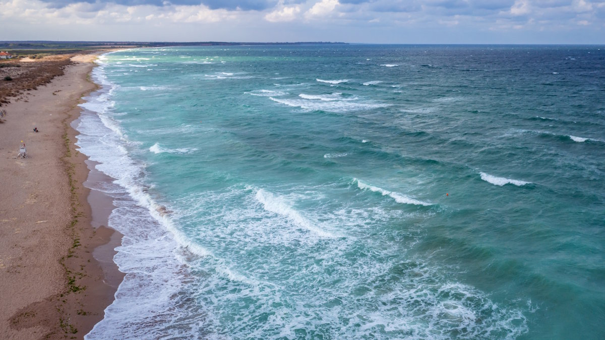 Минимальный угровень загрязнения Черного моря за 18 лет зарегистрировали в ЮФУ