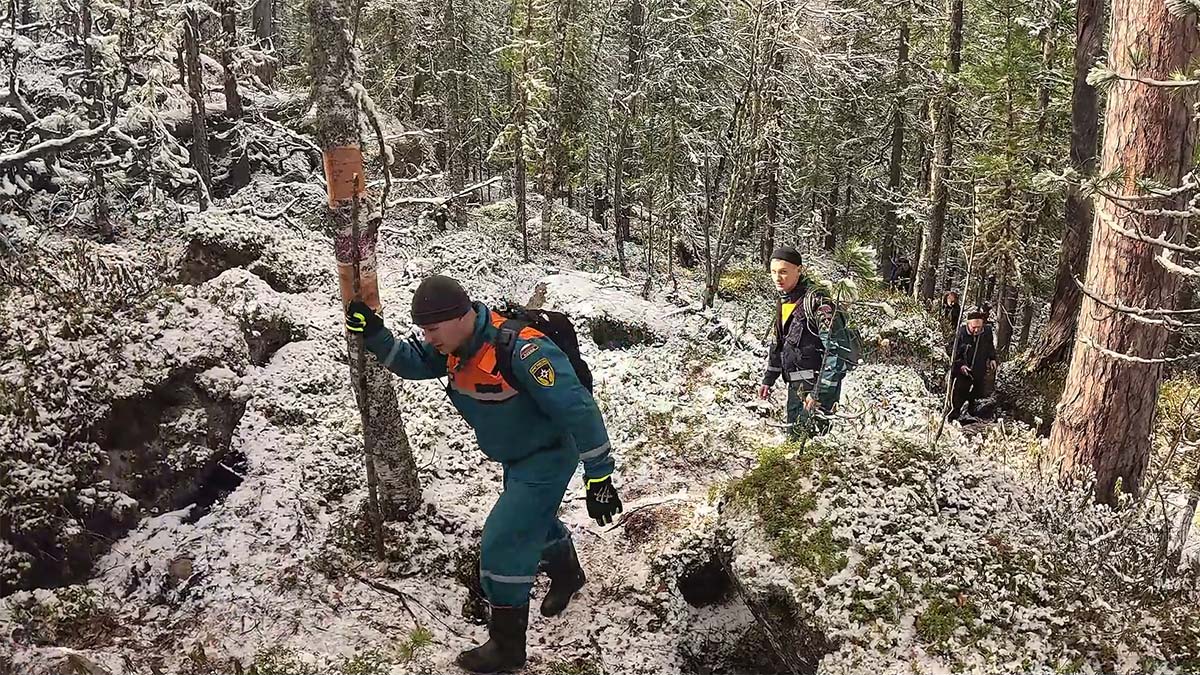 Поиски пропавшей семьи