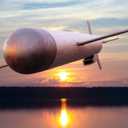 Вопрос о передаче Украине ракет Tomahawk поставлен на паузу, заявили в Верховной раде