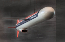 Трамп рассматривает, стоит ли поставлять Украине Tomahawk, заявил постпред США при НАТО