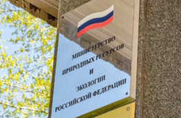 Представлен флаг Минприроды