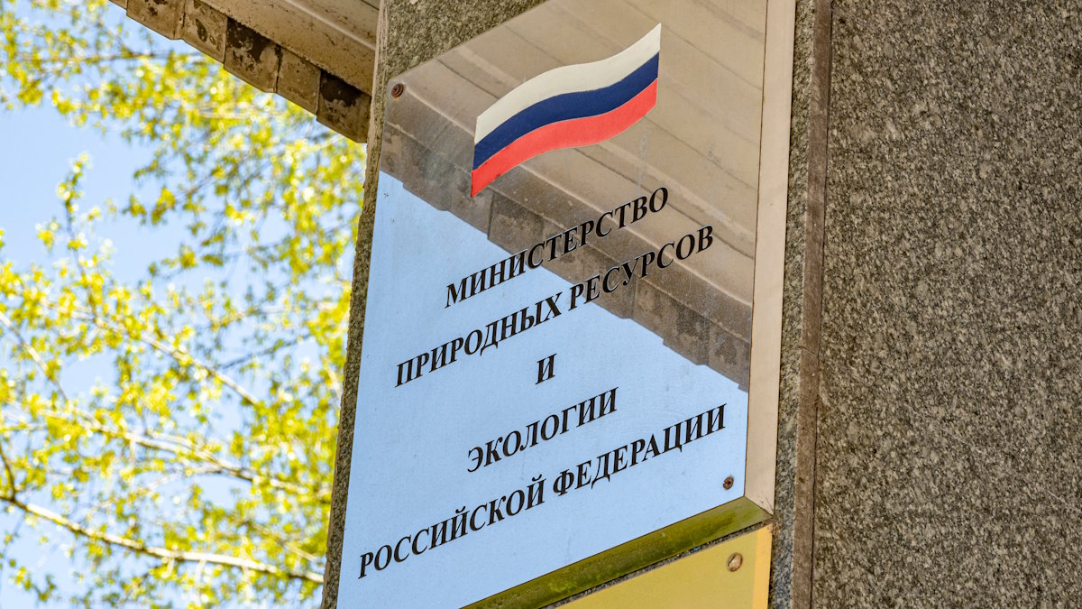 Минприроды РФ представило свой флаг