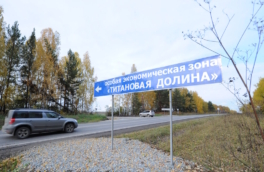 Особые экономические зоны в Свердловской, Воронежской и Нижегородской областях расширят