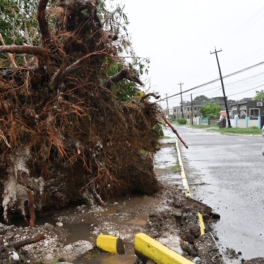 Ураган "Мелисса" привел к сильным наводнениям и разрушениям на Ямайке