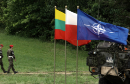 Литва и Польша планируют совместные военные учения в Сувалкском коридоре