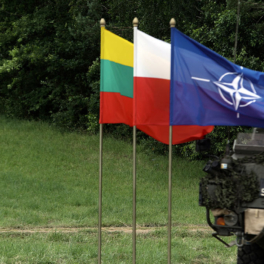 Литва и Польша планируют совместные военные учения в Сувалкском коридоре