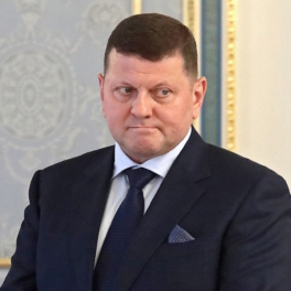 Экс-главком ВСУ Залужный опроверг информацию о подготовке к президентским выборам на Украине