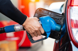 Где найти сертификаты топлива на АЗС и на что обратить внимание