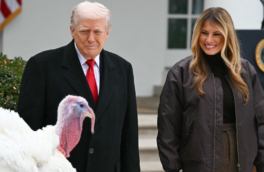 Трамп по традиции помиловал двух индеек в честь Дня благодарения