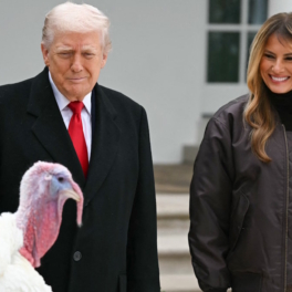 Трамп по традиции помиловал двух индеек в честь Дня благодарения