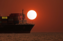 В Совете Федерации обсудили проблемы и пути развития транспортной системы в российской части Тихого океана