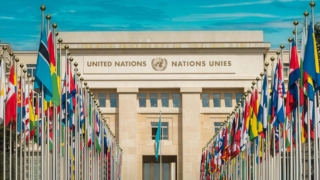 Об угрозе голода в 5 странах сообщили в ООН