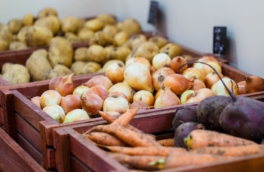 Последние грунтовые овощи в магазинах: откуда их везут