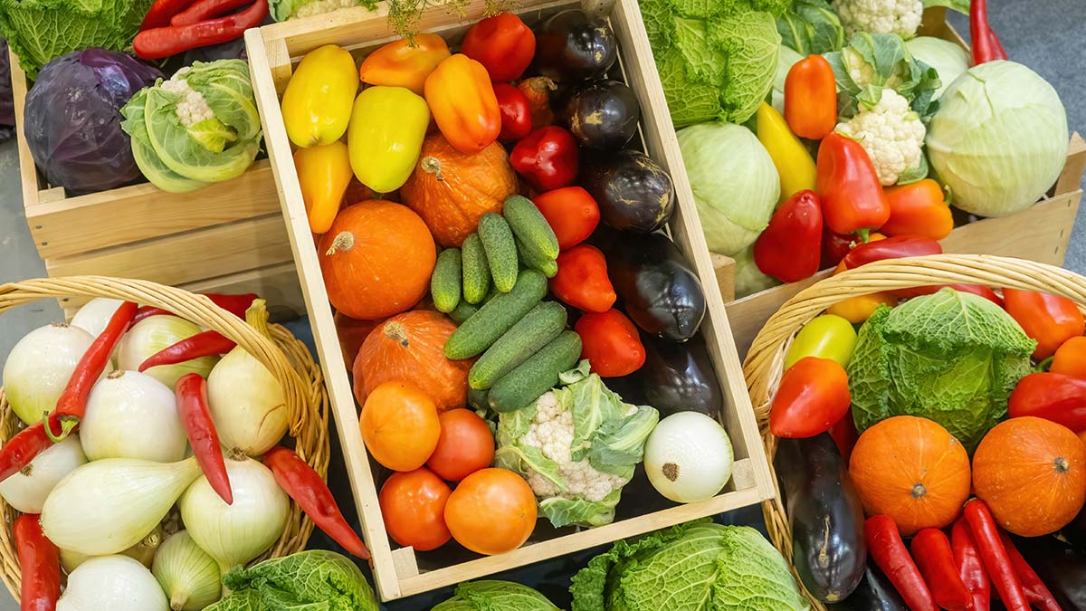 Россия собрала более шести миллионов тонн овощей