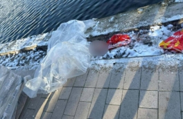 Останки ребенка в рюкзаке найдены в Гольяновском пруду на востоке Москвы