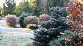 Метеорологическая зима вскоре придет в Москву: когда менять резину на зимнюю