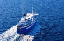 Стало известно, почему пассажиры с парома Seabridge не сошли в Турции