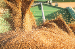 Пашинян ответил на сообщения о планах Еревана "отвязаться от России"