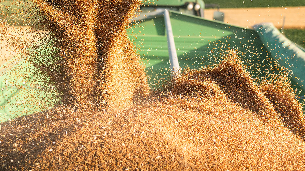 Пашинян опроверг данные о планах Еревана отказаться от российского зерна