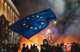 В Еврокомиссии признали, что ЕС поддерживает протесты в Грузии
