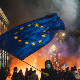 В Еврокомиссии признали, что ЕС поддерживает протесты в Грузии